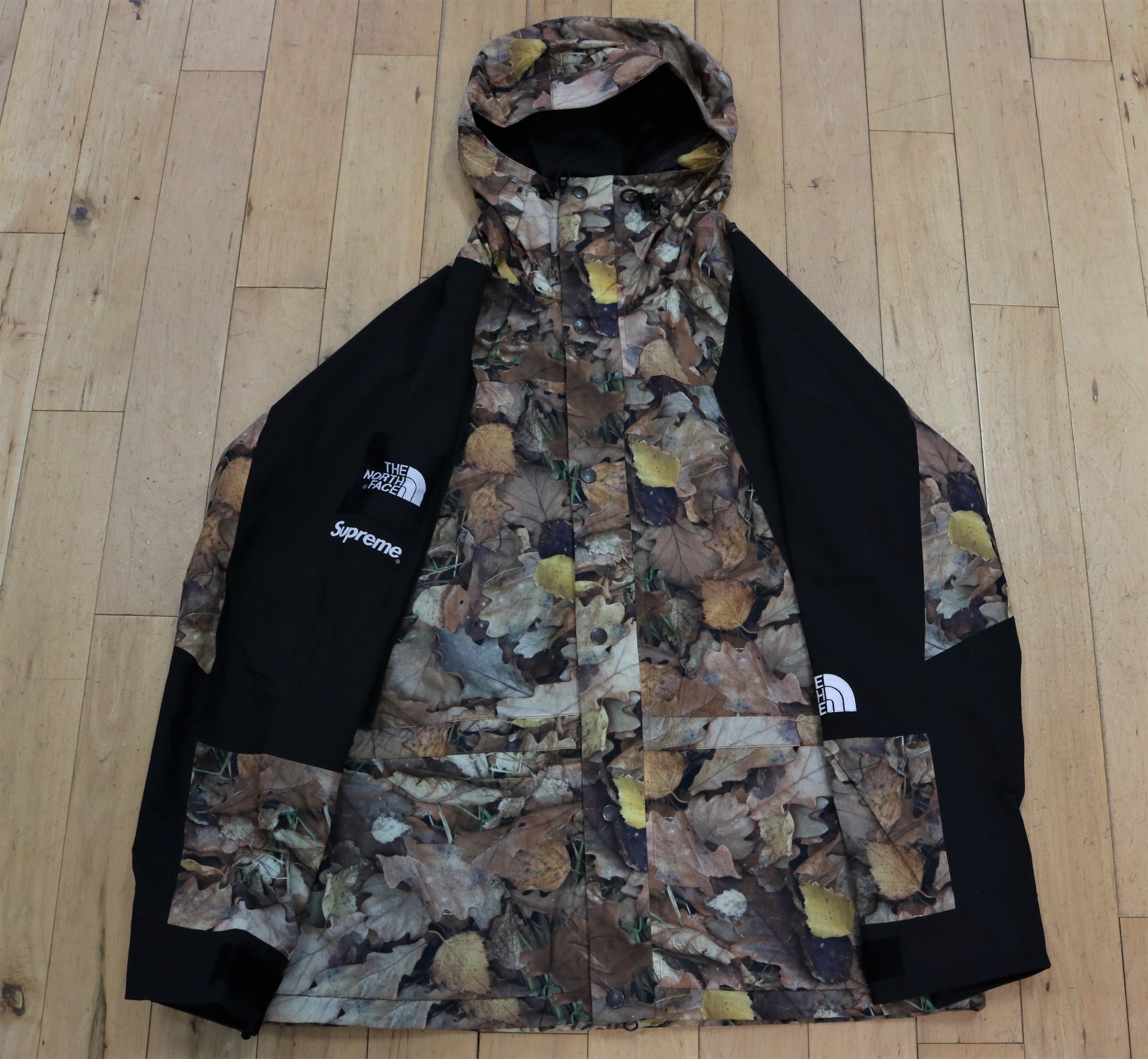 Supreme x TNF Leaves Parka